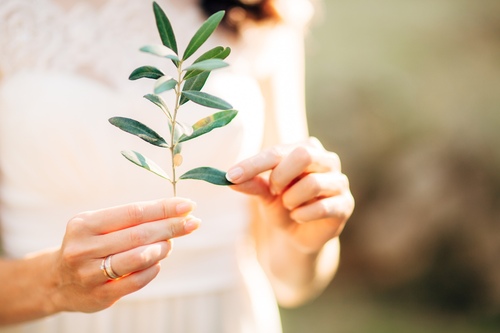 Novus Counselling and Care 